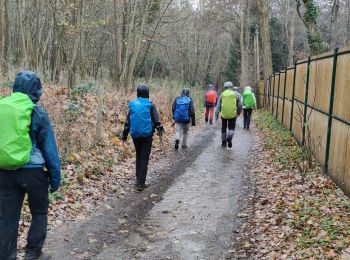 Percorso Marcia Mareil-sur-Mauldre - Au départ de Mareuil sur Mauldre - Photo