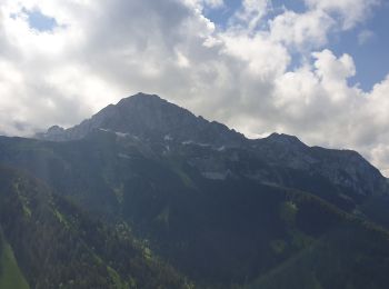 Tour Wandern Bernex - Tour des Memises - Photo