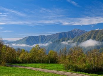 Percorso A piedi Corte Brugnatella - Marsaglia - Lago - Poggio Rondino - Montarsolo - Pieve di Montarsolo - Pietranera - Photo