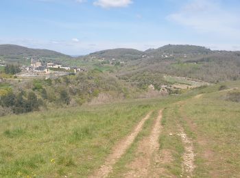 Trail Mountain bike Lissac-sur-Couze - lac du causse,  circuit 10 - Photo