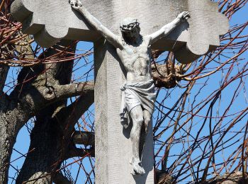 Tocht Te voet Euskirchen - Tour Lauerzberg - Photo