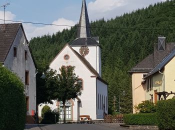 Percorso A piedi Niederstadtfeld - HeimatSpur 1000-jähriger Weg - Photo