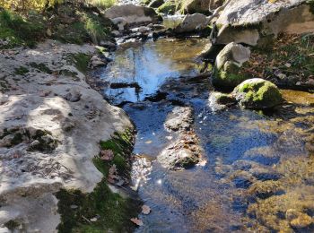 Tour Wandern Tourves - Le Caramy Amis  - Photo