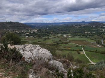 Randonnée Marche Berrias-et-Casteljau - bois de Paîolive - Photo