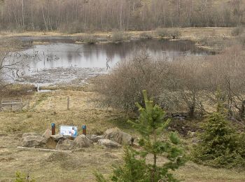 Randonnée Marche Murat - Tourbières de Chastel sur Murat - Photo