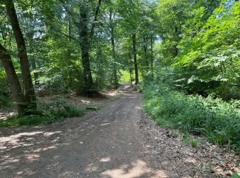 Randonnée Marche Péruwelz - Bonsecours 16 km - Photo