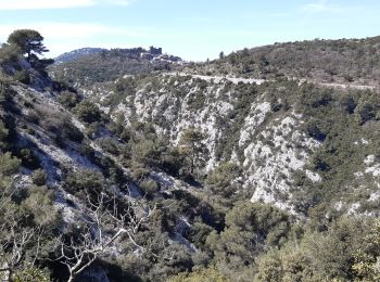 Tour Wandern Évenos - col de garde destel - Photo