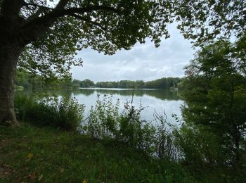 Tocht Stappen Leuven - Entre Louvain et Holsbeek - Photo