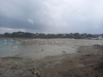 Tour Wandern Cancale - Pointe de Grouin 4.7.23 - Photo