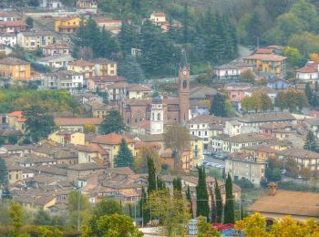 Tour Zu Fuß Godiasco Salice Terme - Anello dell'Alta Collina - Photo