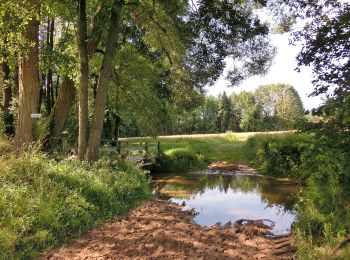 Randonnée A pied Kirchenpingarten - Speichersdorf Rundwanderweg Nr. 3 - Photo