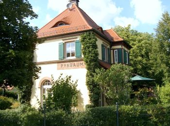 Tocht Te voet Pyrbaum - Pyrbaumer Mühlenweg - Photo