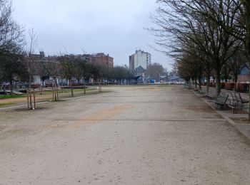 Tocht Stappen Luik - les coteaux du dimanche  - Photo