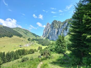 Excursión Senderismo Vacheresse - Tour du Mont Chauffé  - Photo