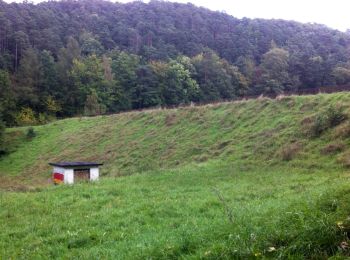 Percorso A piedi Quedlinburg - Wellbachtal - Photo