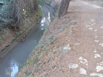 Randonnée Marche Miramas - Miramas Pont de Fumet - Photo