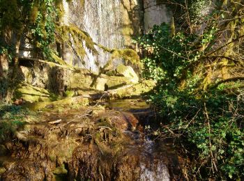 Trail Walking Saint-Hymetière-sur-Valouse - St hymetiere  - Photo