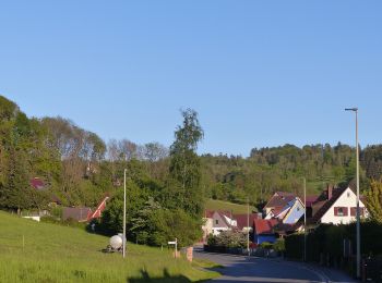 Tour Zu Fuß Weißenohe - Weißenoher Grünrautenweg - Photo