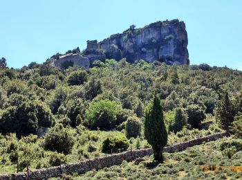 Tocht Te voet Orgosolo - (SI Z16) Sa Sinepida - Ilodei Malu (Caserma Montes) - Photo