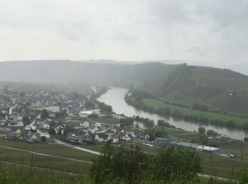 Randonnée Marche Leiwen - Leiwen hohe 6,6 km vineyards view  - Photo