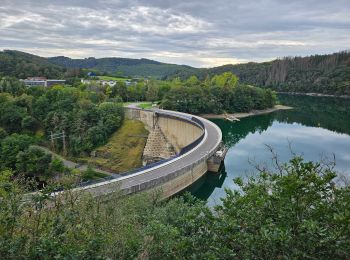 Tour Wandern Esch an der Sauer - 2023-08-23_09h43m26_circuit-du-lac-partie-est - Photo