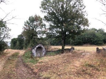 Tour Mountainbike Saint-Cirq-Souillaguet - Boucle râtée - Photo