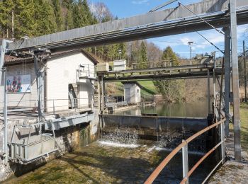 Randonnée A pied Neuheim - Höllbrücke - Schmittli - Photo