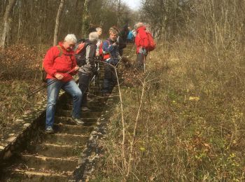 Tour Wandern Curis-au-Mont-d'Or - Curis - Photo