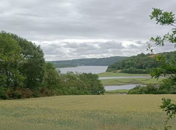 Randonnée Marche nordique Argol - pont de Térénez  - Photo