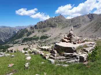 Tocht Stappen Saint-Dalmas-le-Selvage - St Delmas de Selvage aux cols de Braisse et Sanguiniere - Photo