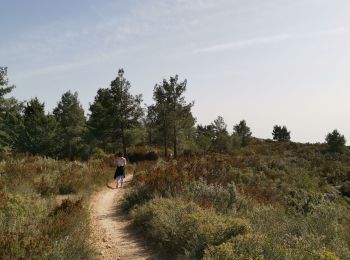 Tocht Stappen Vitrolles - les Crêtes de l'arbois  - Photo