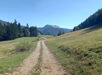 Tocht Stappen Billiat - GTJ 12 Ferme de Retord/Chalet d'Arviere  - Photo