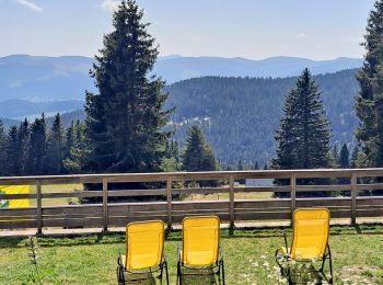 Tour Wandern Sulzern - Lac Vert, lac du Forlet - Photo