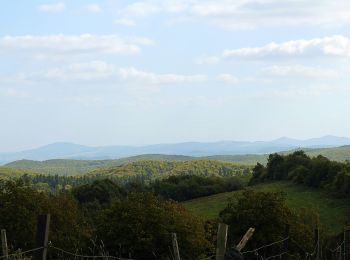 Percorso A piedi Kalwaria Pacławska - Dróżka Pogrzebu i Wniebowstąpienia NMP - Photo