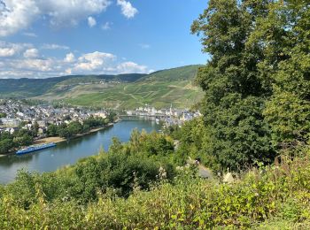 Randonnée Marche Bernkastel-Kues - Bernkastel 13 km - Photo