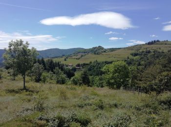 Excursión Senderismo Jaunac - Jaunac 10km - Photo