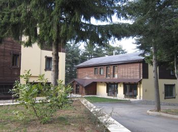 Tour Zu Fuß Gimigliano - (SI U15) Santuario Madonna di Porto - Villaggio Mancuso - Photo