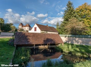 Tocht Te voet Senonches - [Itinéraire] En pays senonchois - Photo