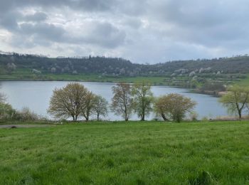 Randonnée Marche Daun - Les 3 Maars de Daun (Eifel) - Photo