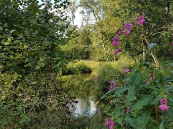 Randonnée Marche Sélestat - (09/9/2019) Le ried à Selestat - Photo