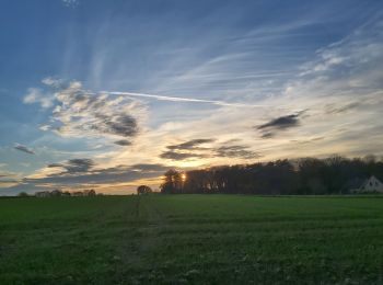 Trail Nordic walking Chaumont-Gistoux - dion vieusard par le haut_bas - Photo