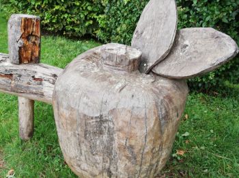 Excursión Senderismo Cambremer - Cambremer - Photo