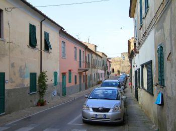 Excursión A pie Campo nell'Elba - IT-195 - Photo