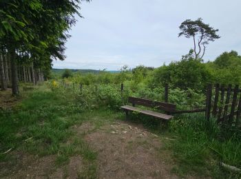 Tocht Stappen Gedinne - Balade dans les Fanges de l'Abîme - Gedinne - Photo