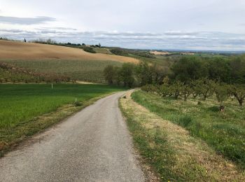 Randonnée Marche Mirabel - Autour de Mirabel - Photo