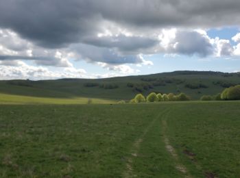 Tour Wandern Prades-d'Aubrac - buron de la truque - Photo