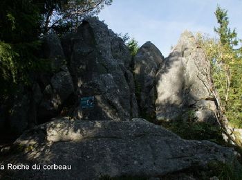 Randonnée Marche Le Bonhomme - Tête de Faux & roche du corbeau - Photo