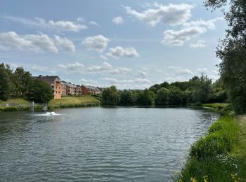Trail Walking Ottignies-Louvain-la-Neuve - Le tour du lac de Louvain-la-Neuve - Photo