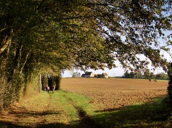 Tocht Stappen Saint-Victor-de-Buthon - Saint-Victor de Buthon 8,5 km - Photo