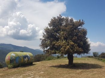 Percorso Marcia Sorède - 577. 11km sorede roc des medes  - Photo